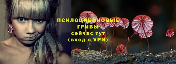 гидропоника Заволжск