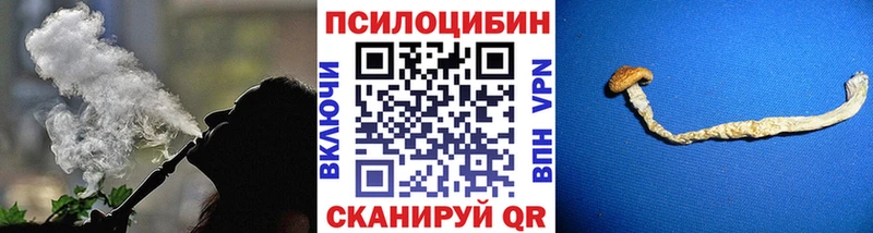 где продают наркотики  KRAKEN ТОР  Галлюциногенные грибы Magic Shrooms  Сычёвка 